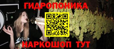 шишки Шелехов