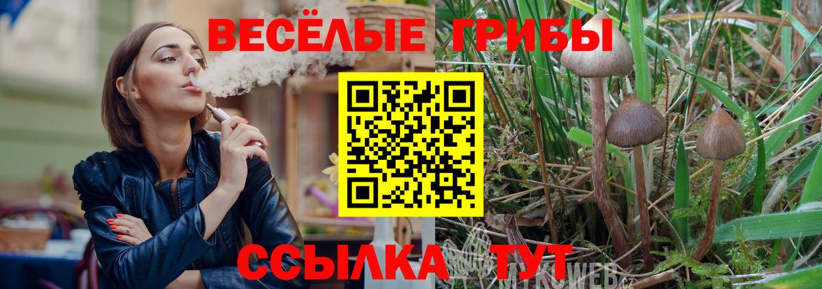 Псилоцибиновые грибы прущие грибы  Вход с VPN  Кисловодск 
